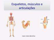 Esqueletos