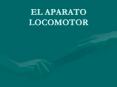 EL APARATO LOCOMOTOR PowerPoint PPT Presentation