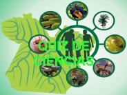 QUIZ DE CI