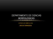 DEPARTAMENTO DE CIENCIAS MORFOL