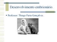 Desenvolvimento embrion