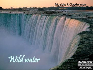 Wild Water