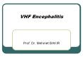 VHF Encephalitis PowerPoint PPT Presentation