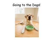 Going to the Dogs!