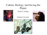 Culture, Biology, and Saving the Planet
