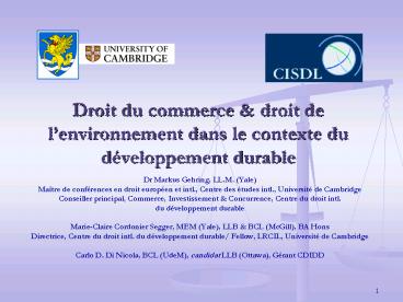 Droit du commerce