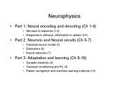 Neurophysics