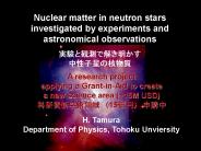 Nuclear matter in neutron stars