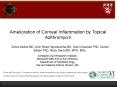Amelioration of Corneal Inflammation by Topical Azithromycin PowerPoint PPT Presentation