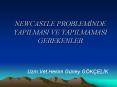 NEWCASTLE PROBLEMINDE YAPILMASI VE YAPILMAMASI GEREKENLER PowerPoint PPT Presentation