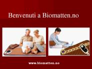 Blodsirkulasjonen | Feber Terapi  - Biomatten.no