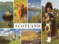 Scotland is located in the Northern part of Great Britain and Hebrides, Orkneys and Shetland Islands. In the south it borders with England. The land is mostly created from upland and mountains. The climate the moderatly warm with influence of sea. A PowerPoint PPT Presentation