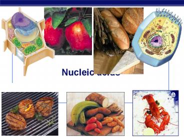 Nucleic acids