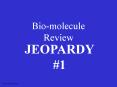 Bio-molecule Review PowerPoint PPT Presentation