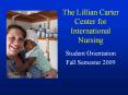 The Lillian Carter Center for International Nursing PowerPoint PPT Presentation