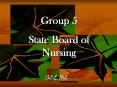 The Role of the State Board of Nursing PowerPoint PPT Presentation