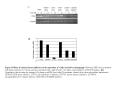 Figure 3 Effects of various kinase inhibitors on the expression of c-Myc induced by thapsigargin Wild-type MEFs were pretreated with kinase inhibitors for 30 min and then incubated with 1  PowerPoint PPT Presentation