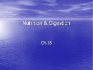 Nutrition