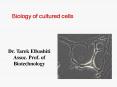 Mammalian Cell Culture PowerPoint PPT Presentation