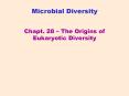 Microbial Diversity PowerPoint PPT Presentation