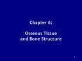 Chapter 6:  Osseous Tissue and Bone Structure PowerPoint PPT Presentation