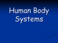 Human Body Systems PowerPoint PPT Presentation