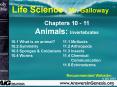 Chapters 10 - 11 PowerPoint PPT Presentation