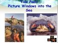 Tide Pools Picture Windows into the Sea PowerPoint PPT Presentation