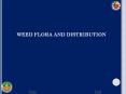 WEED FLORA AND DISTRIBUTION PowerPoint PPT Presentation