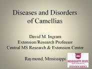 Diseases and Disorders of Camellias