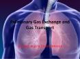 Pulmonary Gas Exchange and Gas Transport PowerPoint PPT Presentation