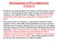 Scientists were long puzzled by the opulence of the immune system's resources. The body apparently could recognize and mount unique responses to an endless variety of antigens - but how in the world could all that information be crammed into a limited PowerPoint PPT Presentation