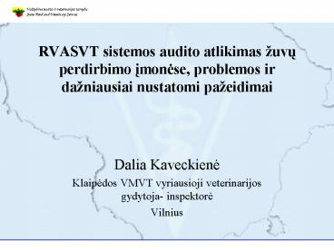 RVASVT sistemos audito atlikimas 