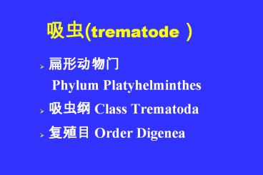??(trematode)