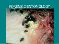 FORENSIC ENTOMOLOGY PowerPoint PPT Presentation