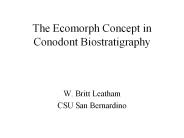 The Ecomorph Concept in Conodont Biostratigraphy