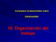 10. Organizaci PowerPoint PPT Presentation