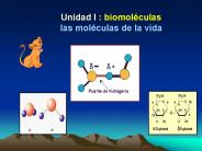 Unidad I : biomol