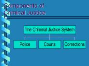 Components of Criminal Justice