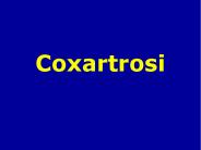 Coxartrosi