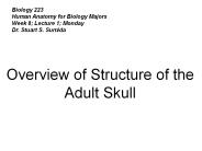 Biology 223
