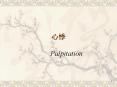 Palpitation PowerPoint PPT Presentation