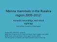 Marine mammals in the Rusalca region 2009-2012: PowerPoint PPT Presentation
