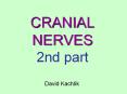 CRANIAL NERVES 2nd part PowerPoint PPT Presentation