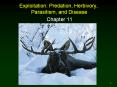 Exploitation: Predation, Herbivory, Parasitism, and Disease PowerPoint PPT Presentation