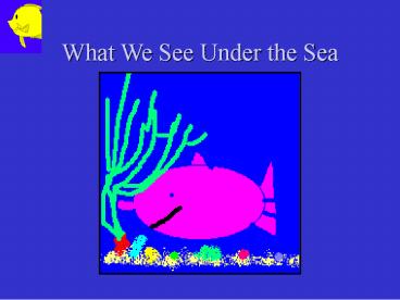 What We See Under the Sea