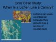 Core Case Study: When Is a Lichen Like a Canary? PowerPoint PPT Presentation