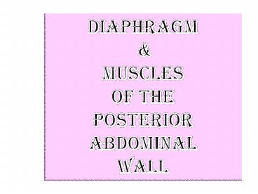 DIAPHRAGM
