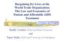 Bargaining for Lives at the World Trade Organization: The Law and Economics of Patents and Affordable AIDS Treatment PowerPoint PPT Presentation