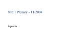 802.1 Plenary - 11/2004 PowerPoint PPT Presentation